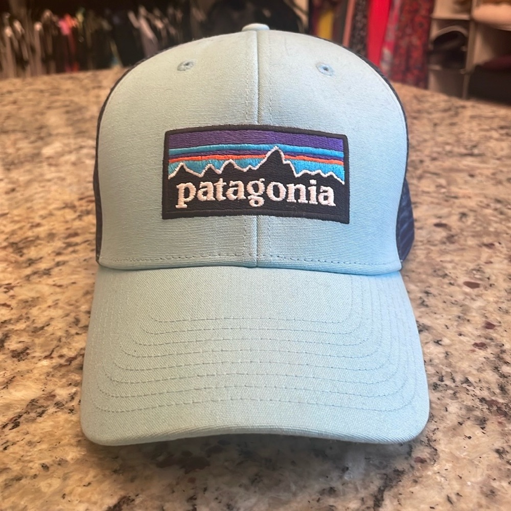 Patagonia light blue mesh back hat